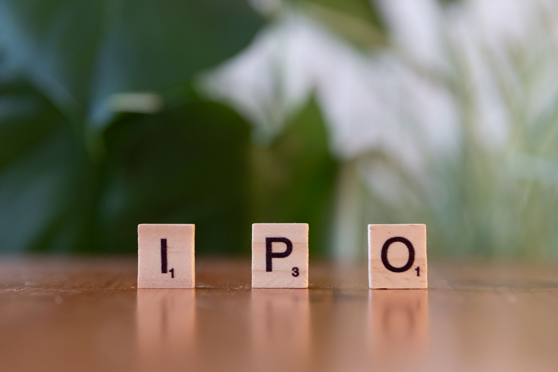 ESDS Software IPO
